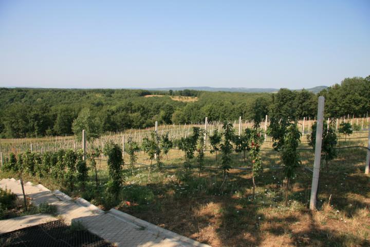Domaćinstvo Jović